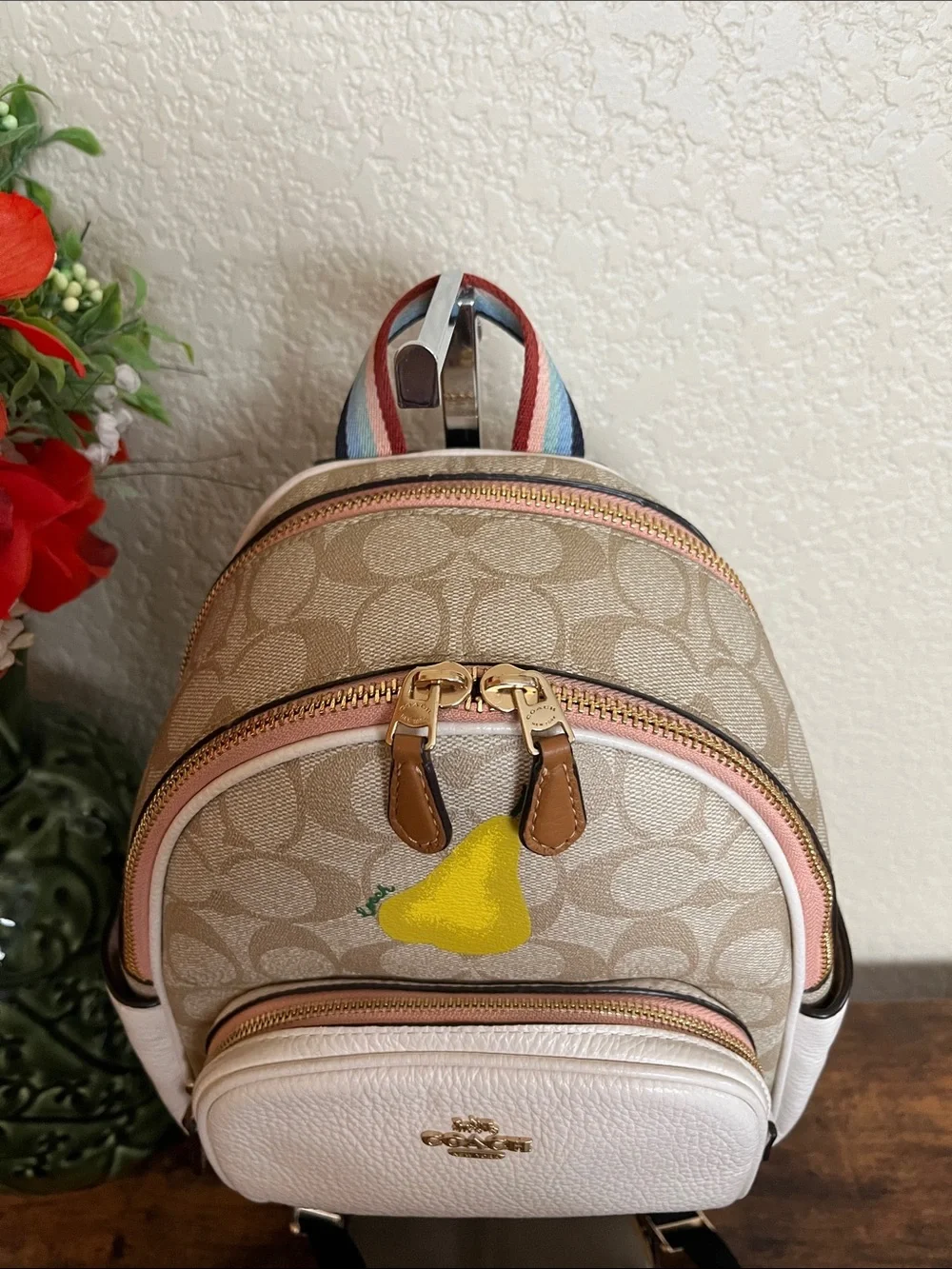 Coach mini court